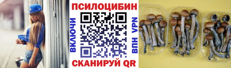 Псилоцибиновые грибы Psilocybine cubensis  Константиновск 